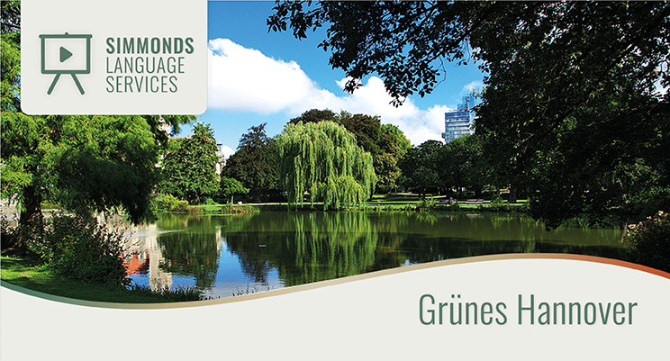Trauerweide im Maschpark Hannover